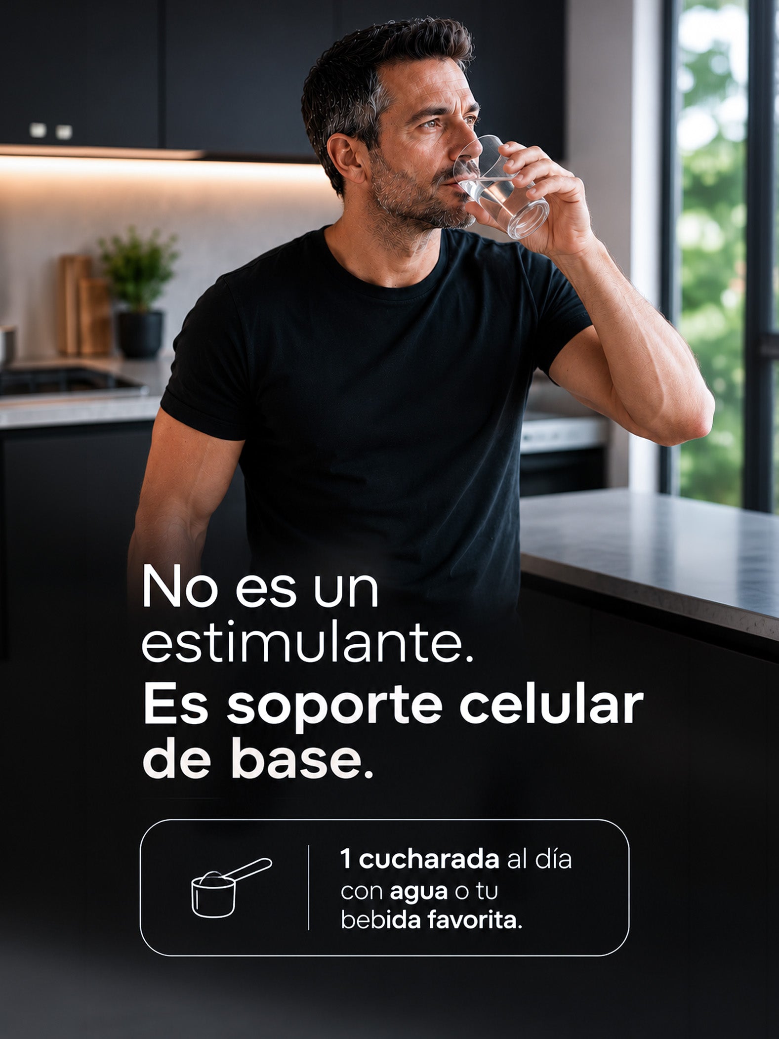 VITALITY PRIME Active Life
